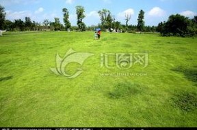 青青青草国产,探寻青青青草国的绿色奇迹