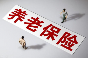 国产毛片久久久久久国产毛片,历史与现状的交织