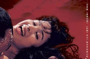 国产19禁,揭秘禁忌之下的激情与挑战